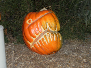 Old Man, Nipomo Pumpkin Patch best carving idea